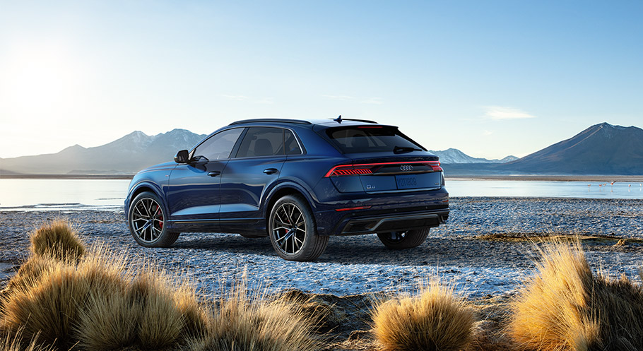 2019 Audi Q8