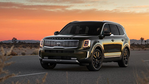 2020 Kia Telluride is named