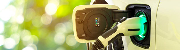 The Most Popular Electric Cars Of 2019 The Most Popular Electric Cars Of 2019