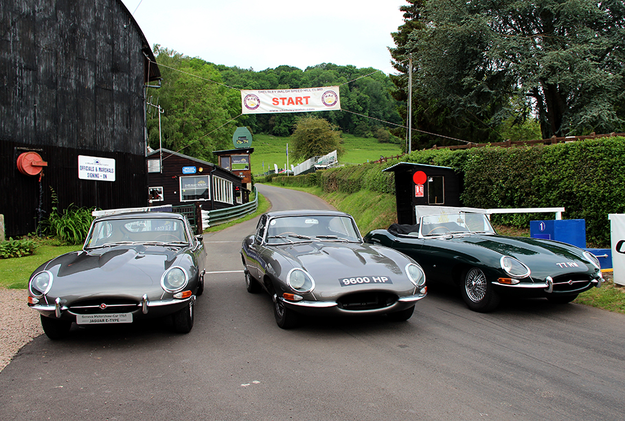 2021 Jaguar E-Type Reunion