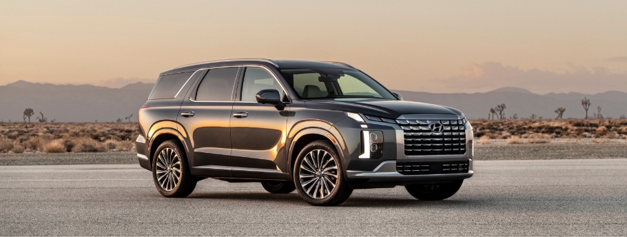 2023 Hyundai Palisade - Side Angle